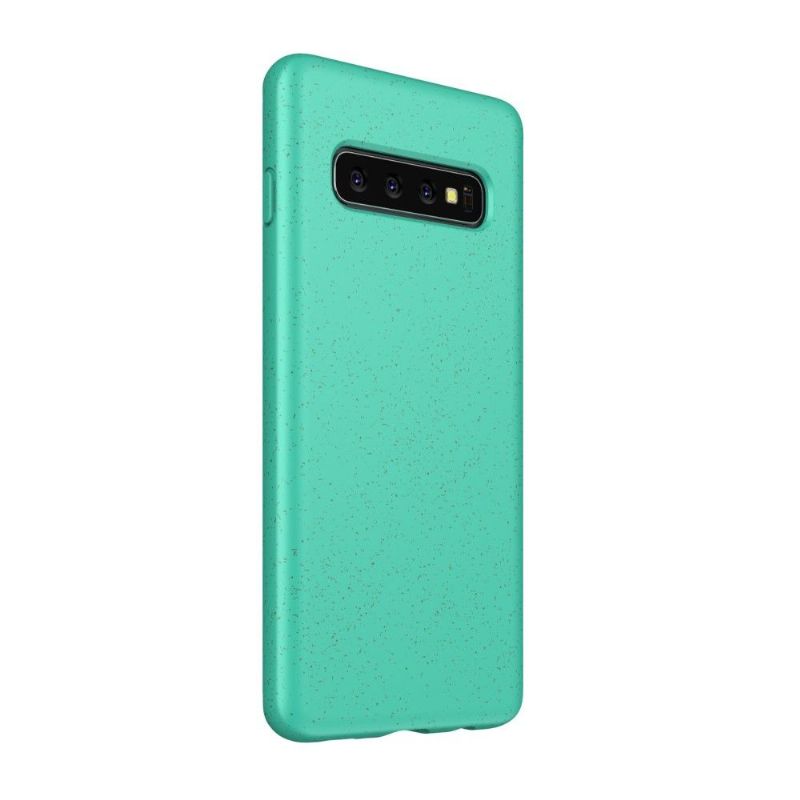 Kryt Na Samsung Galaxy S10 Plus Cereálie S Matným Efektem